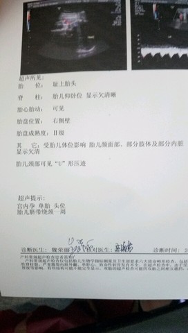 journal_insert_pic_579357960
