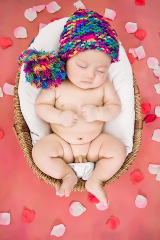 journal_insert_pic_585097335