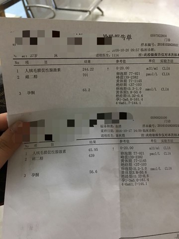 journal_insert_pic_593765670