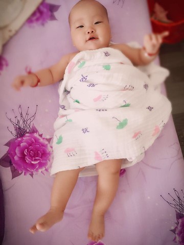 journal_insert_pic_612543082
