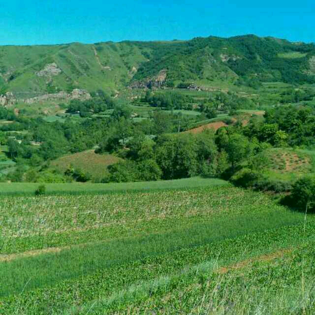 我想问下坐月子的妈妈们,宝宝夜里哭闹谁哄?