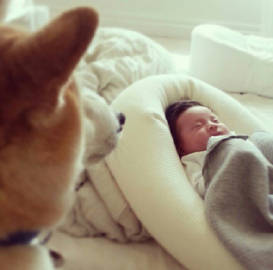 journal_insert_pic_639591534