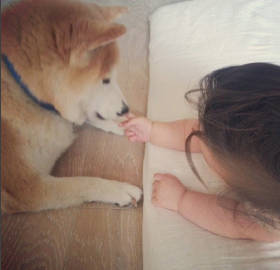 journal_insert_pic_639591546