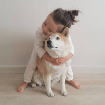 journal_insert_pic_639591504