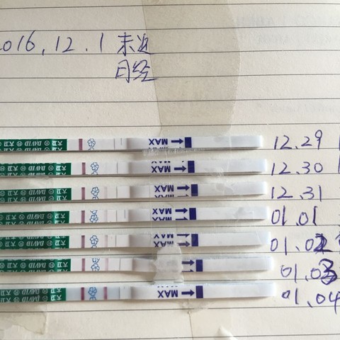 journal_insert_pic_640494622