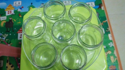 journal_insert_pic_642250616