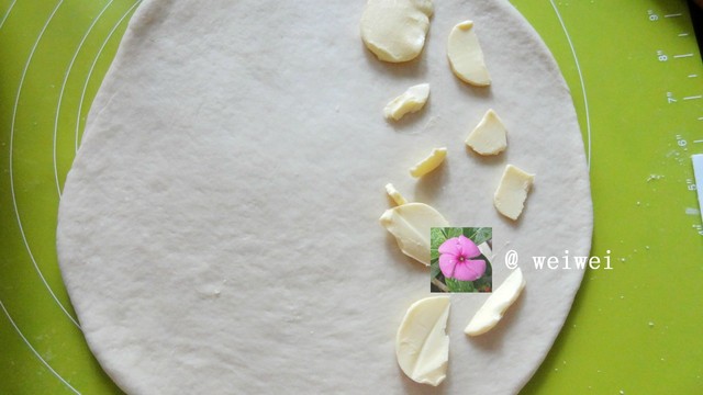 journal_insert_pic_675428731