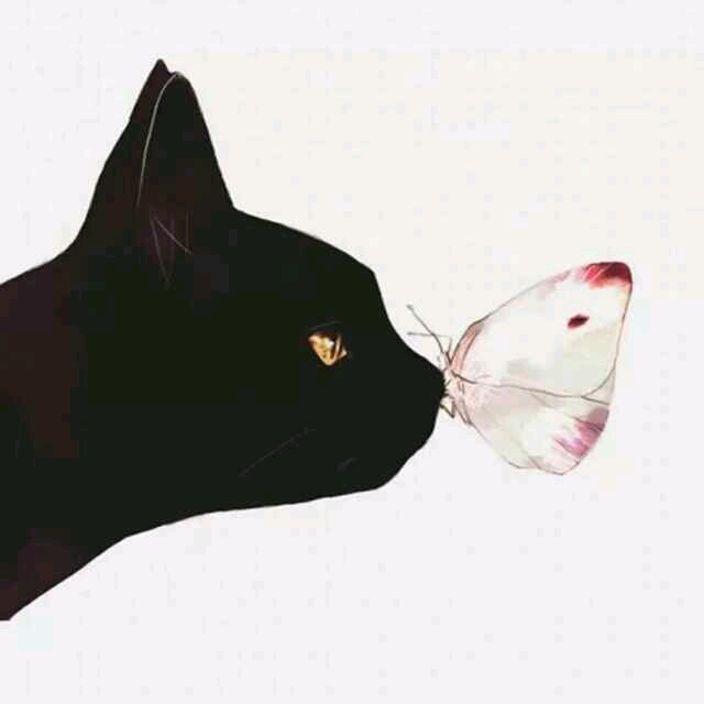 宝妈们都进来帮忙看看是男宝女宝._宝宝树