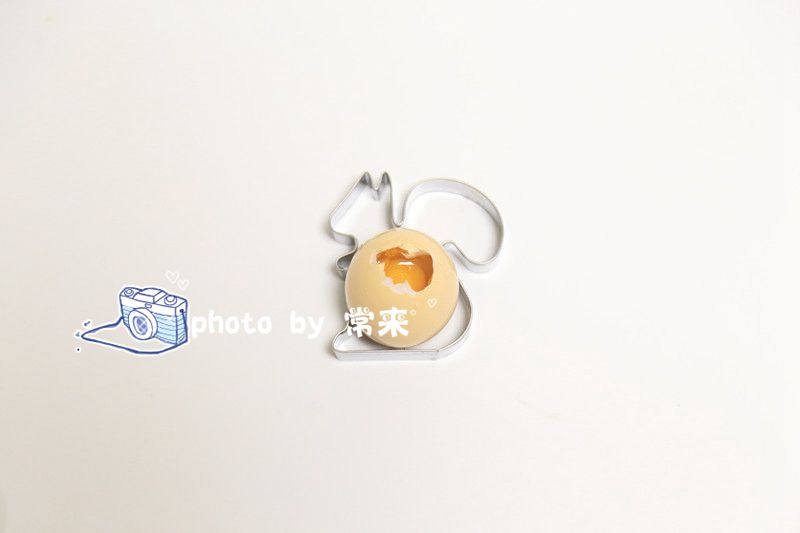 journal_insert_pic_732237171
