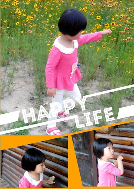 journal_insert_pic_743781476