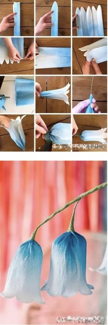 QQ20170517-160619@2x.jpg