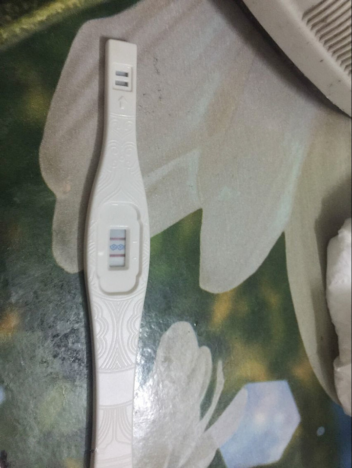 journal_insert_pic_747743374