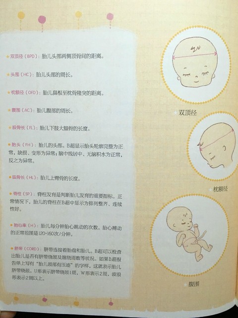 journal_insert_pic_767415024