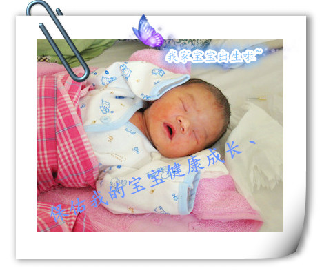 journal_insert_pic_782030470