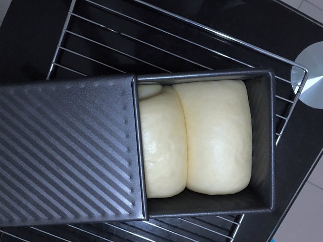 journal_insert_pic_790830392
