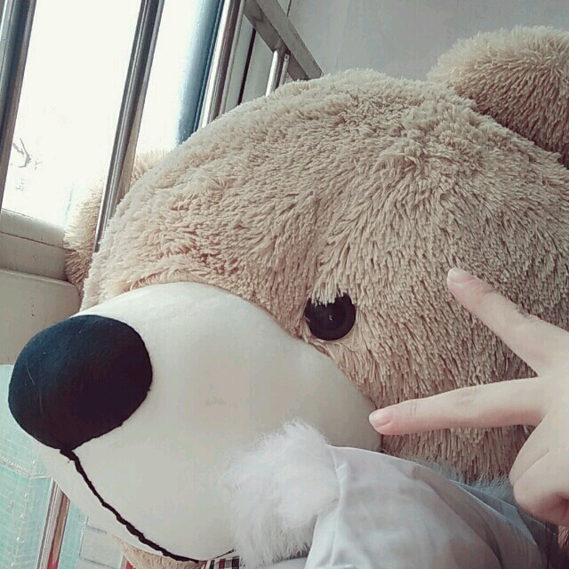 贺嘉琪zlf