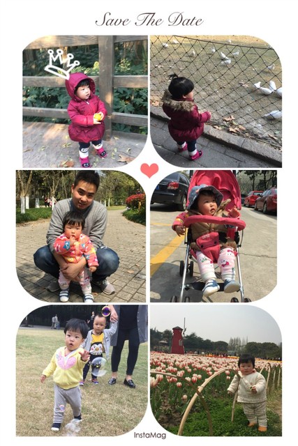 journal_insert_pic_915630417