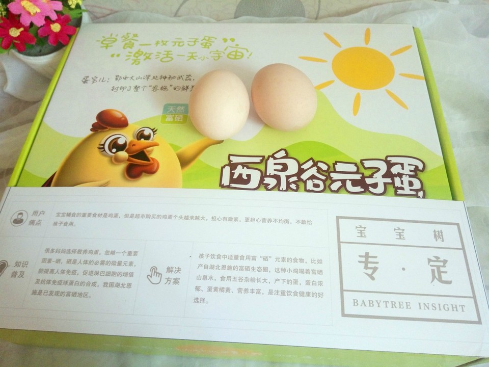 journal_insert_pic_917662487