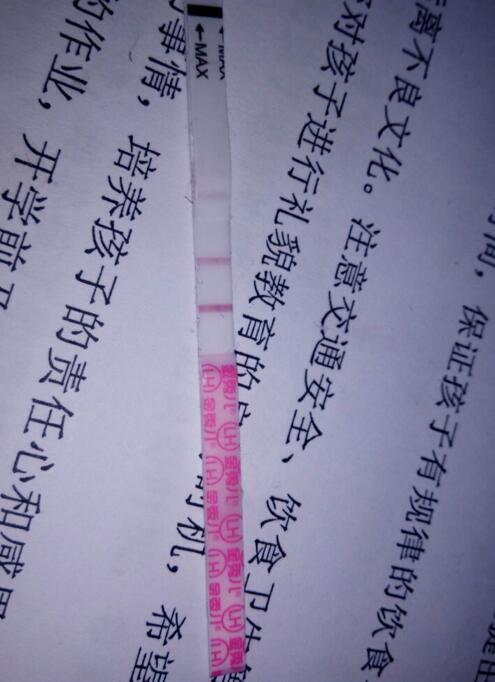 journal_insert_pic_927132648