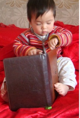 journal_insert_pic_1022434977