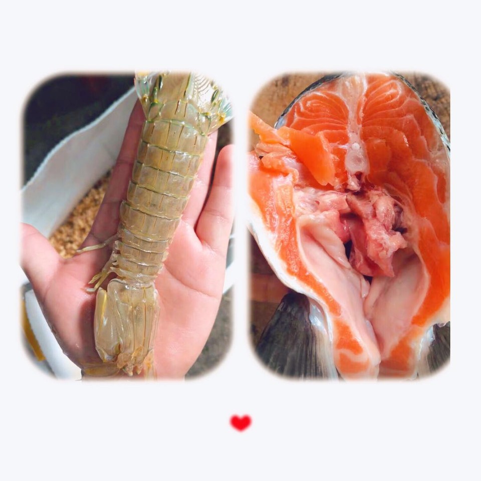 journal_insert_pic_1234153684