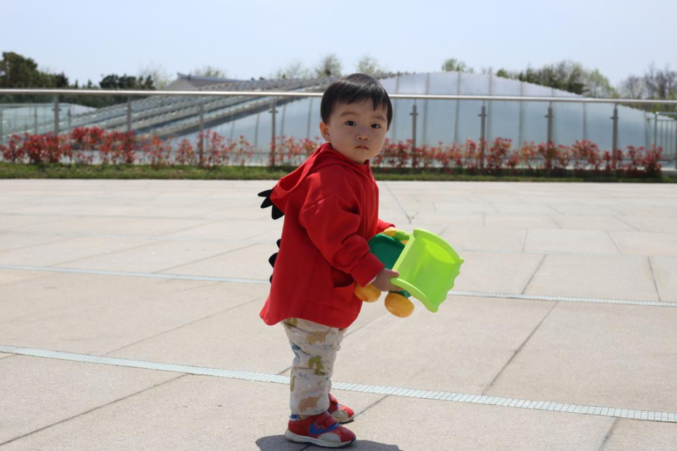 journal_insert_pic_1494994003