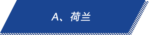 选项a